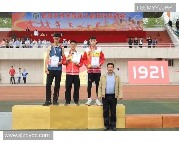 南京排球队速度之美大满贯点评展现竞技魅力与团队协作