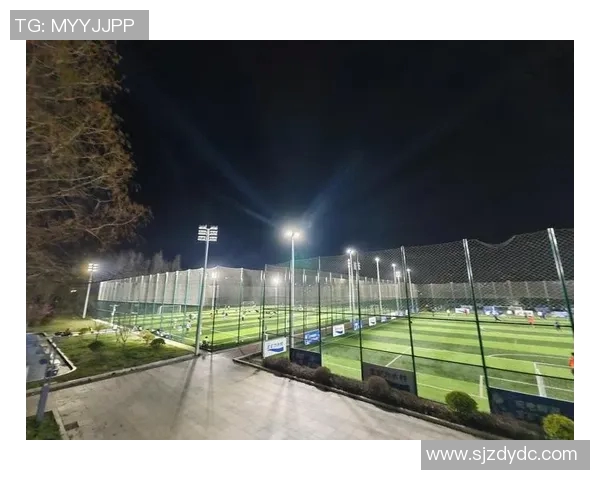 南京足球队的逆袭之旅：从低谷到辉煌的奋斗历程与荣耀时刻