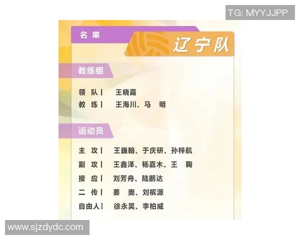 杭州排球队在排球个人能力排行榜中荣登第九名展现出强劲实力与潜力