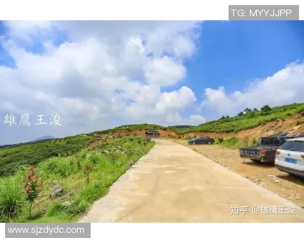 极限运动评论：杭州极限运动队的阵地战得失