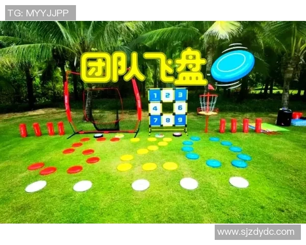 飞盘战术：成都飞盘队的节奏体系